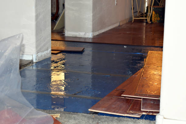 Professional Burst Pipe Water Damage technician working in Decker, MI